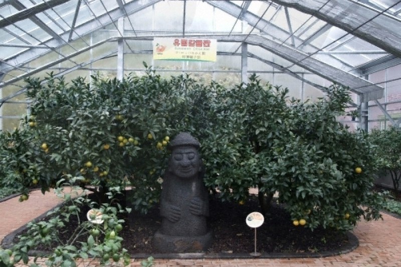 柑橘博物館