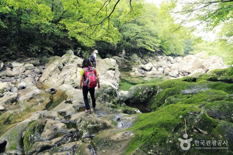 濟州島觀光特區(제주도 관광특구) (19/28)