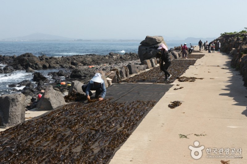 加波島