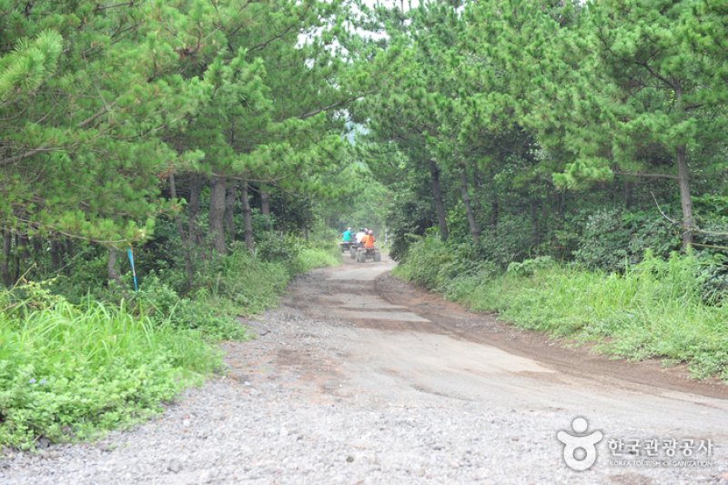 山海ATV越野車體驗場
