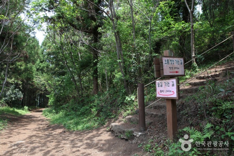 楮旨嶽저지오름(닥몰오름,새오름) (14/14)