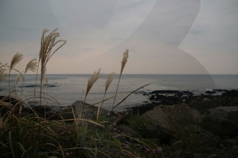新豐新川海洋牧場(신풍 신천 바다목장)