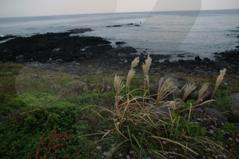 新豐新川海洋牧場(신풍 신천 바다목장)