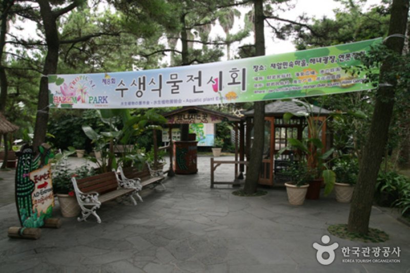 濟州翰林公園 石頭爺爺 (4/10)