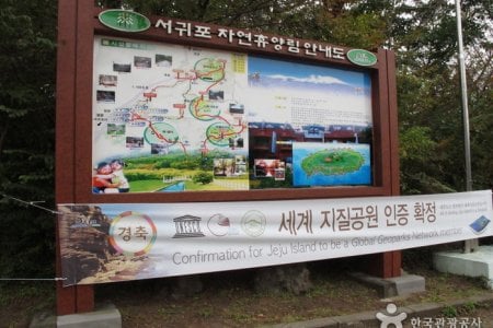 西歸浦自然休養林