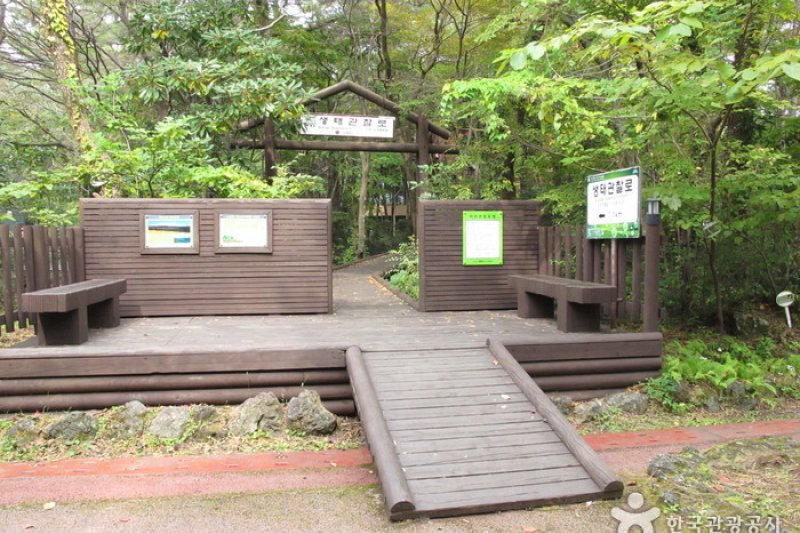 西歸浦自然休養林 (4/15)