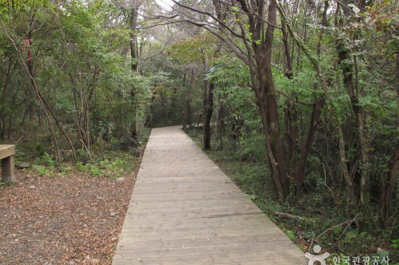 西歸浦自然休養林 (14/15)