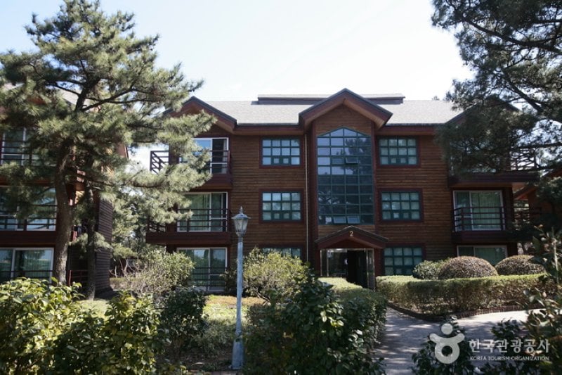 濟州金剛山渡假村(제주 금강산콘도) (4/11)