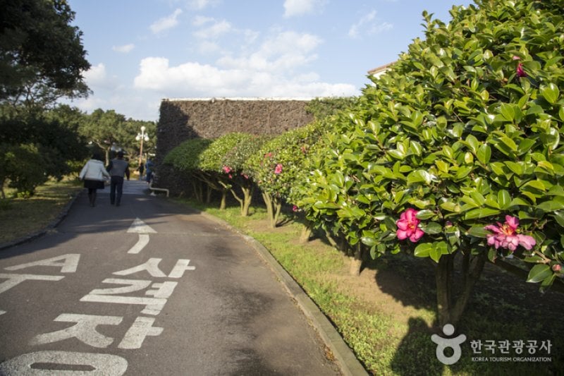 大侑樂園