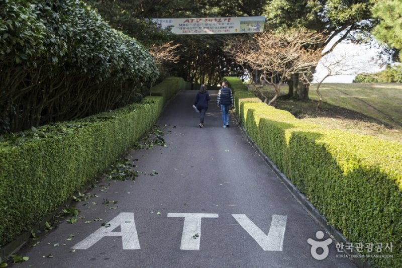 大侑樂園