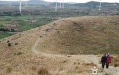 龍眼岳