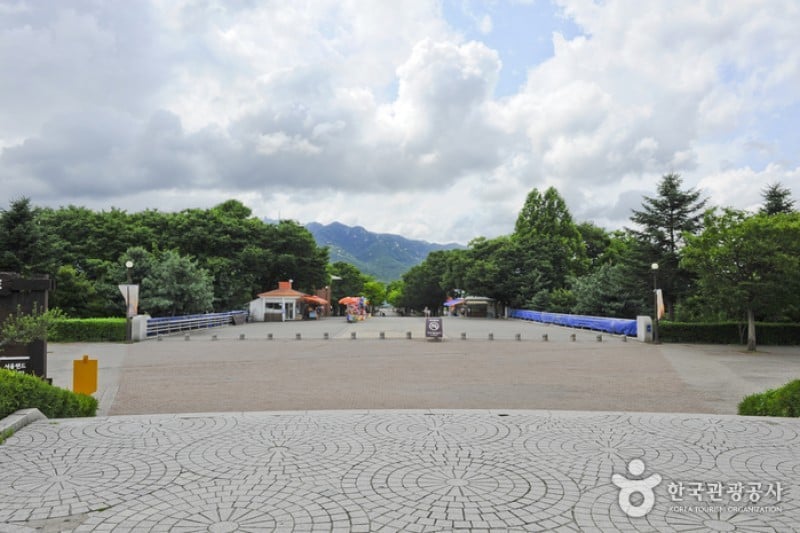 首爾大公園 (3/58)