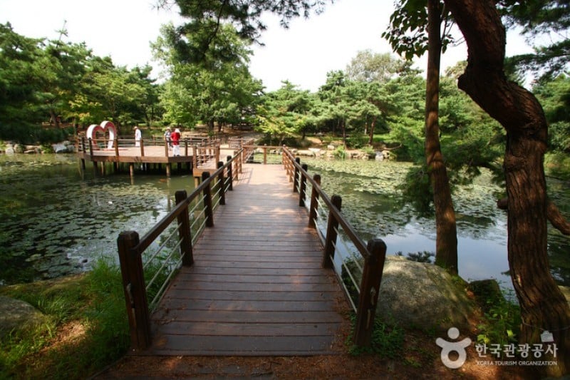 首爾大公園 (5/58)