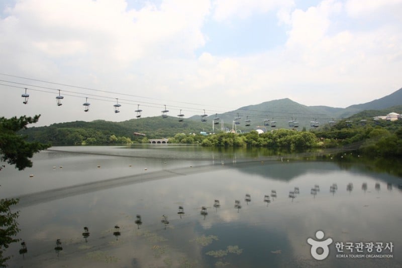 首爾大公園 (9/58)