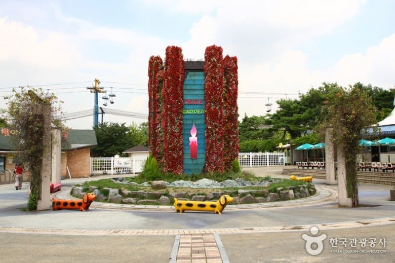首爾大公園 (11/58)
