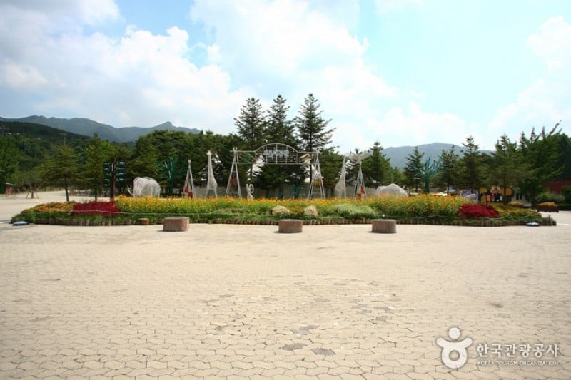 首爾大公園 (12/58)