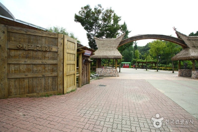 首爾大公園 (14/58)