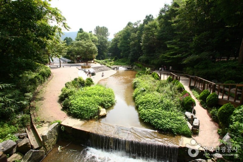 首爾大公園 (15/58)