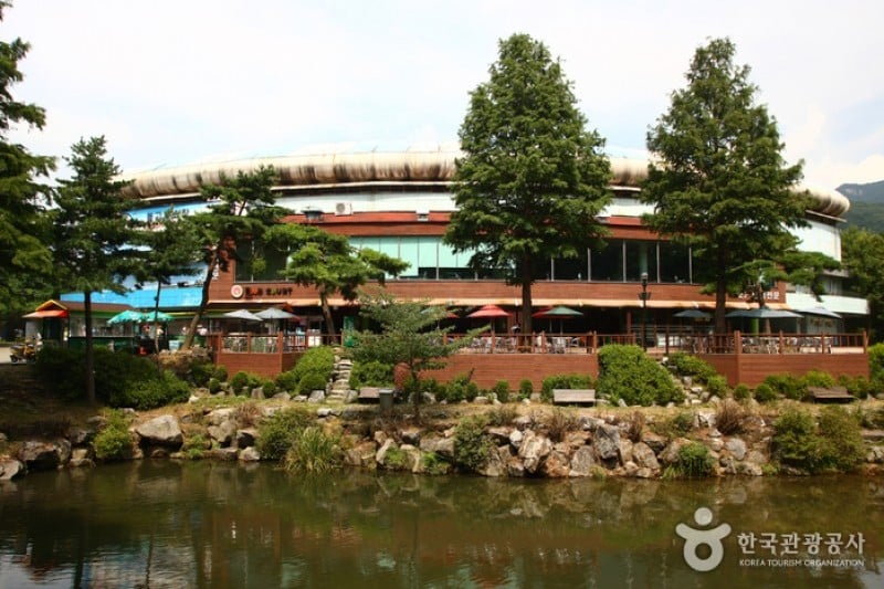 首爾大公園 (17/58)