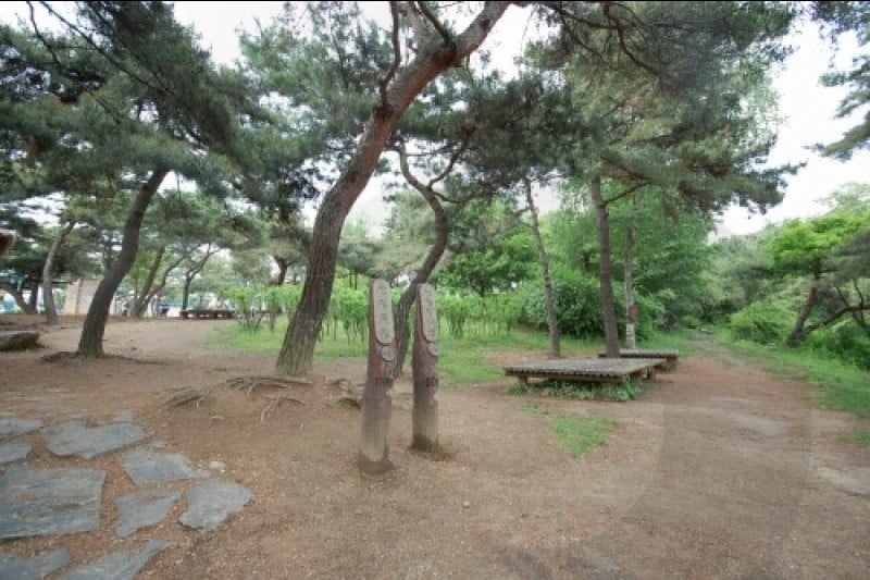 首爾大公園 (19/58)