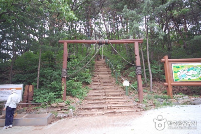 首爾大公園 (20/58)