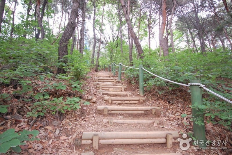 首爾大公園 (21/58)