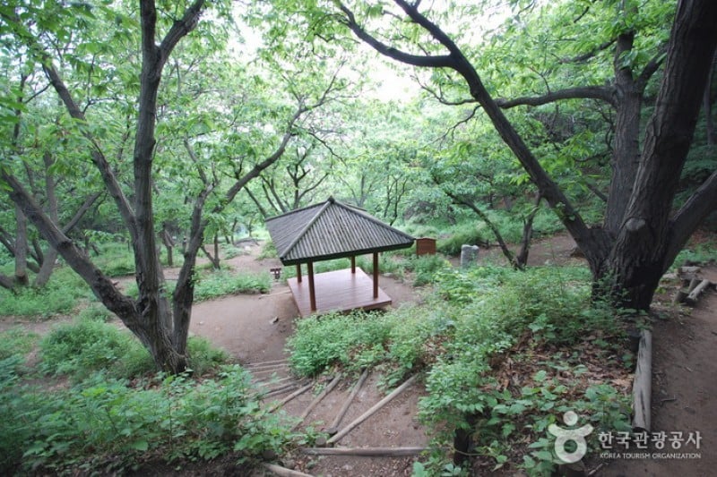 首爾大公園 (24/58)