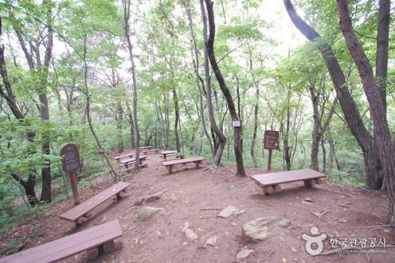 首爾大公園 (25/58)