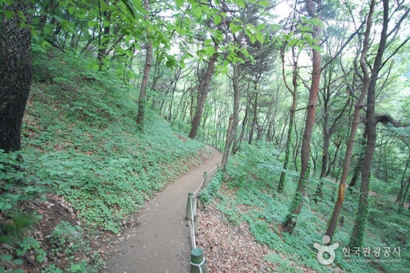 首爾大公園 (26/58)