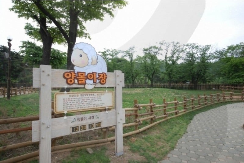 首爾大公園 (27/58)