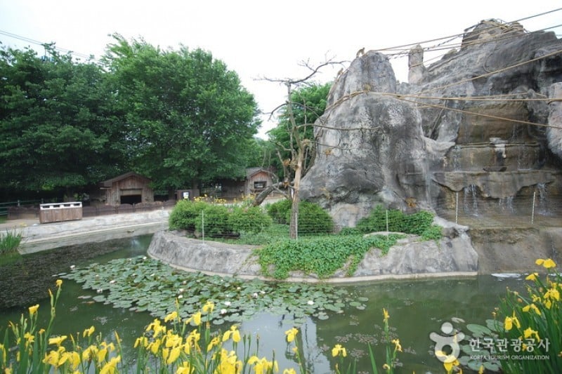 首爾大公園 (29/58)