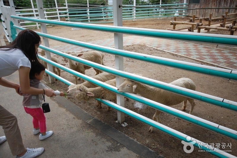 首爾大公園 (32/58)