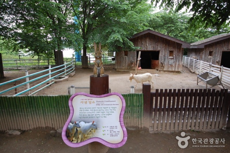首爾大公園 (33/58)