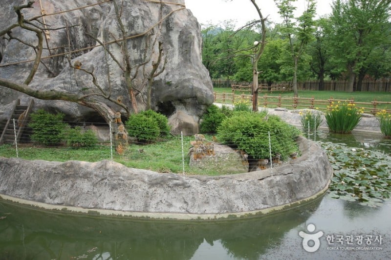 首爾大公園 (35/58)