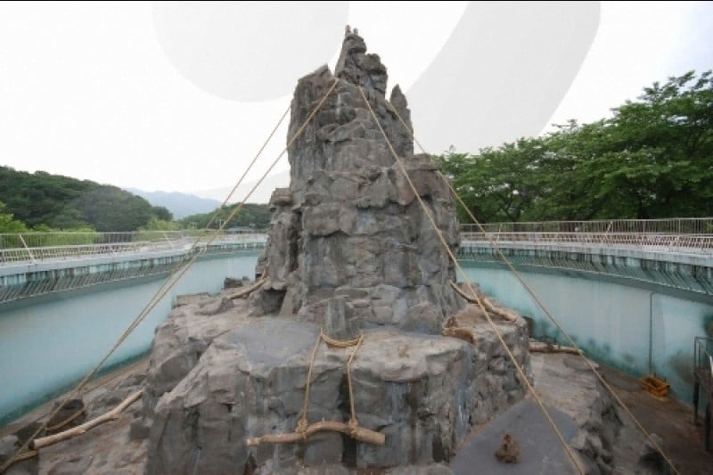 首爾大公園 (36/58)