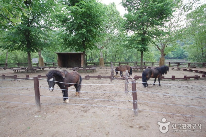 首爾大公園 (38/58)