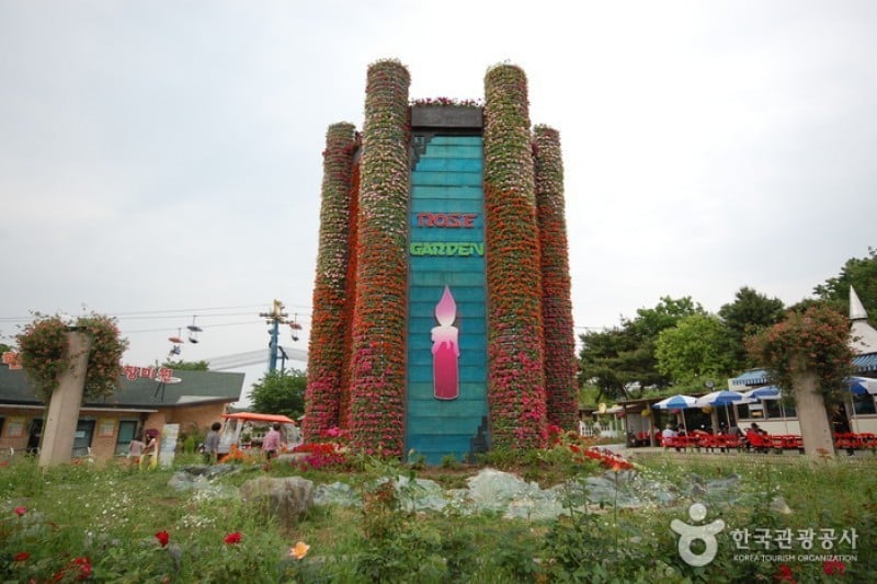 首爾大公園 (43/58)