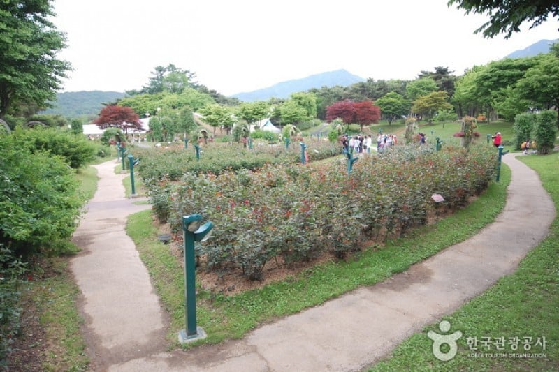 首爾大公園 (45/58)