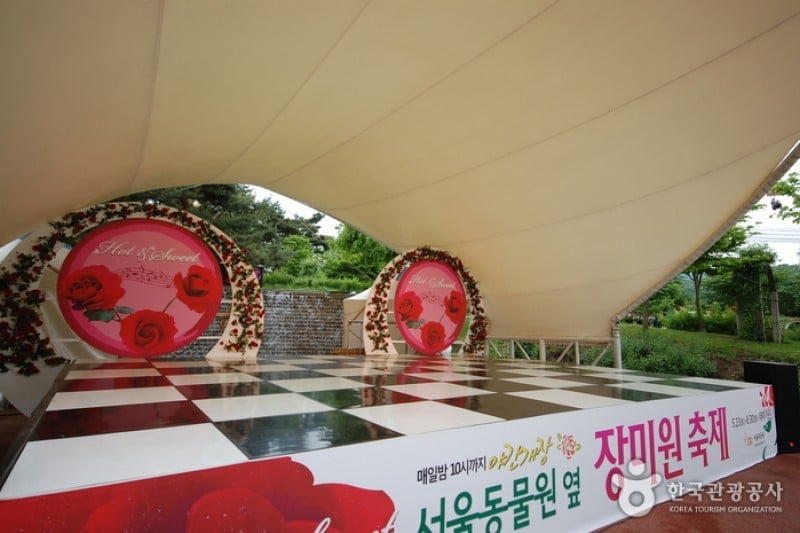 首爾大公園 (46/58)