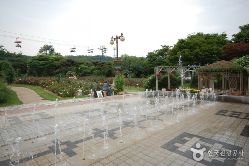 首爾大公園 (47/58)