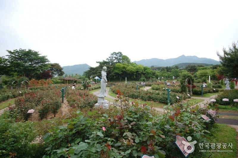 首爾大公園 (48/58)