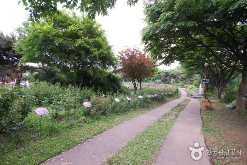 首爾大公園 (49/58)