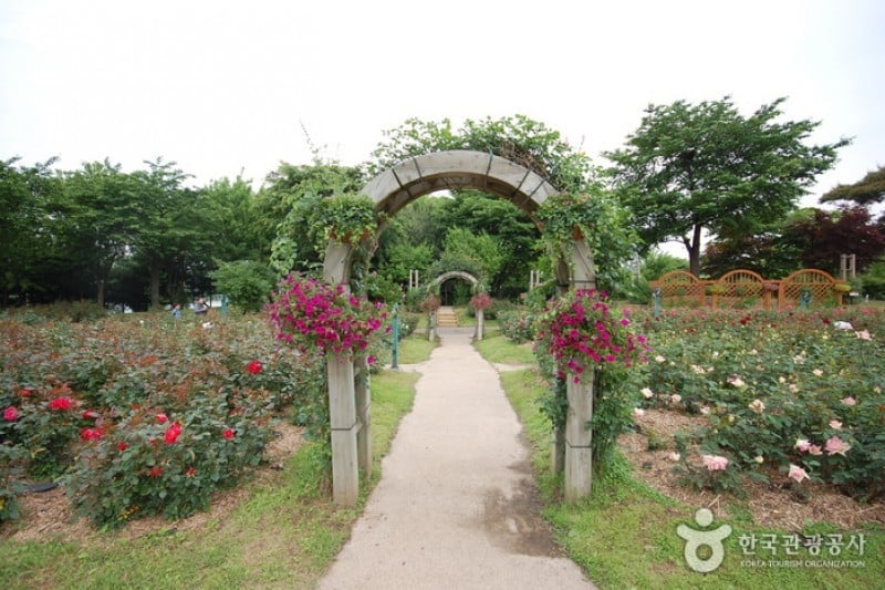 首爾大公園 (50/58)