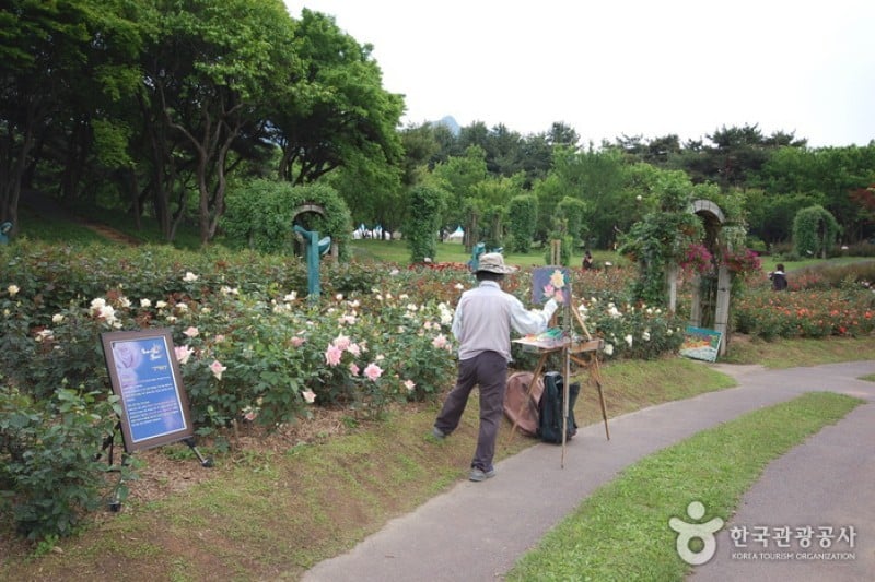 首爾大公園 (51/58)