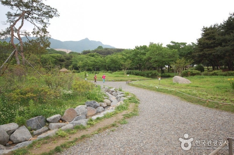 首爾大公園 (52/58)