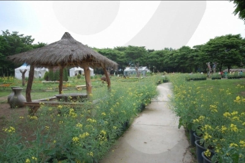 首爾大公園 (53/58)