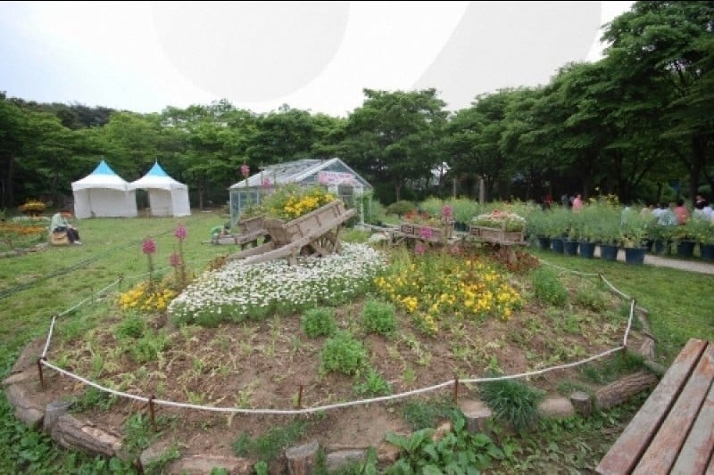首爾大公園 (55/58)