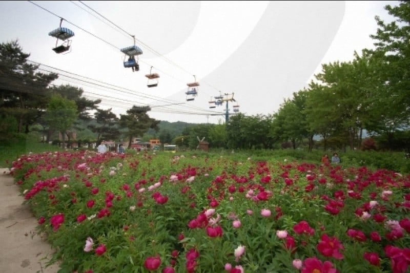 首爾大公園 (57/58)