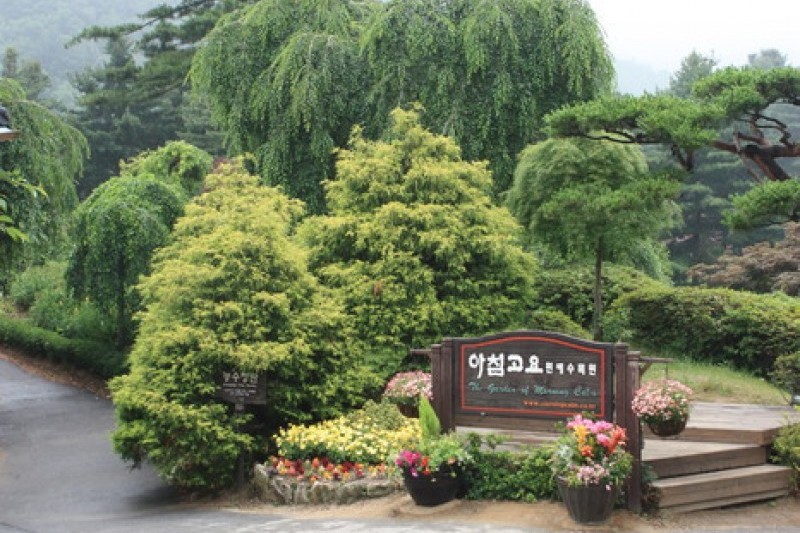 晨靜樹木園 (1/54)