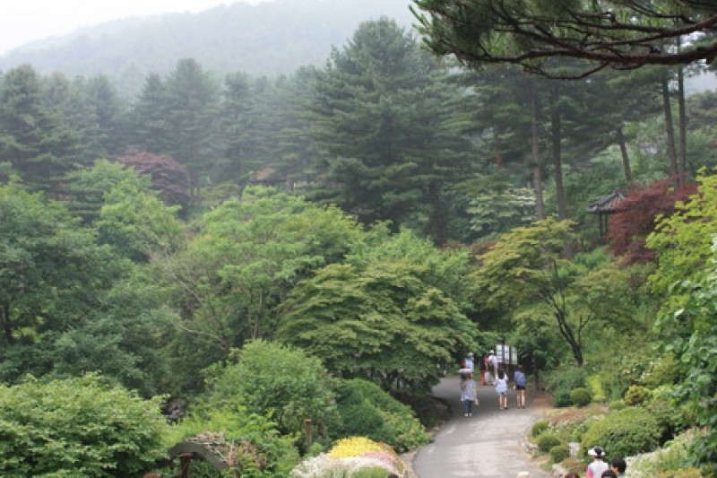 晨靜樹木園 (2/54)